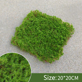 Moss Grass For Fairy Garden